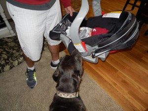 Stewie meets Theo for the first time