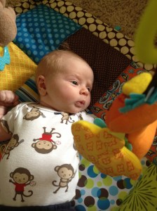Fascinated by his play mat.