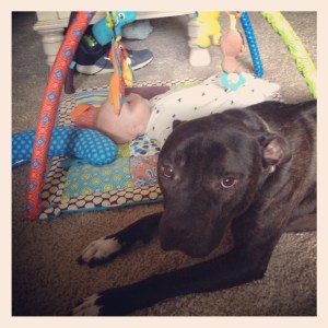 2013-08-03 09.46.16-2