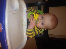 Feeding himself with his mesh feeder.