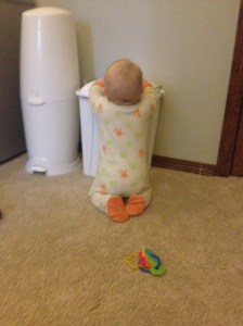 ...and I do mean everything.