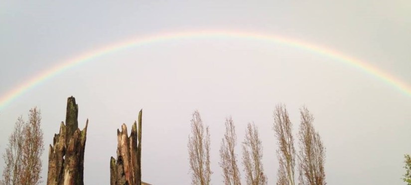 10406554_10152462349252790_4098825231557712493_n